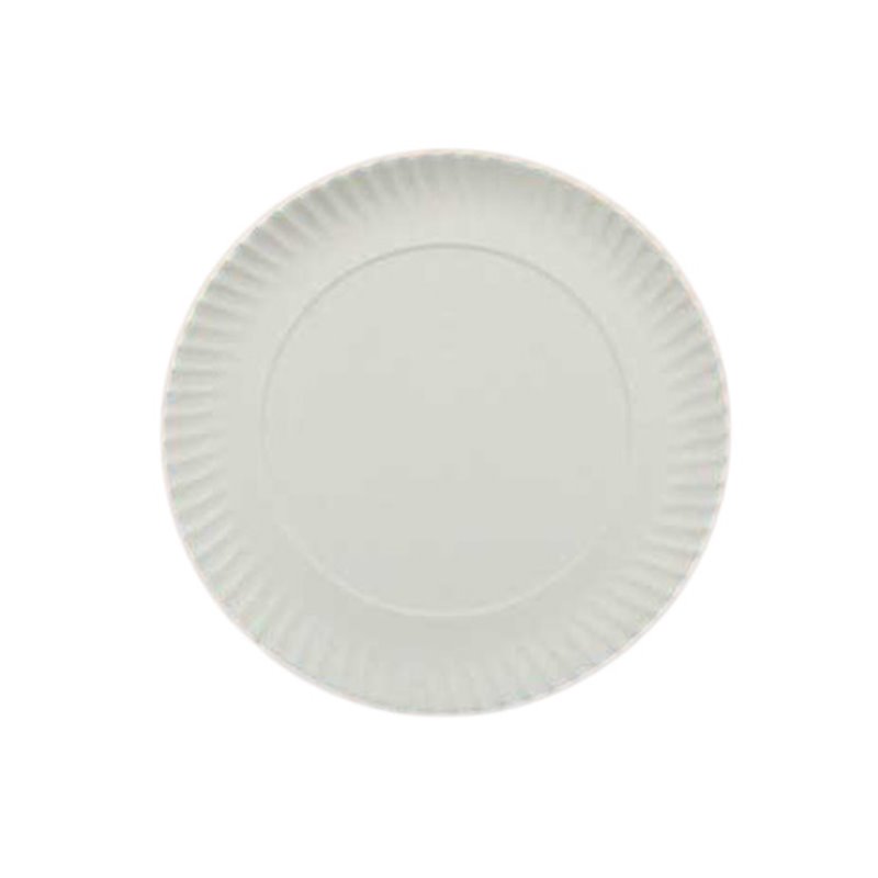 CARDBOARD PLATES 30 CM. PACKAGE 100 UNITS